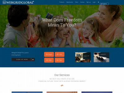 www.webgridglobal.com snapshot