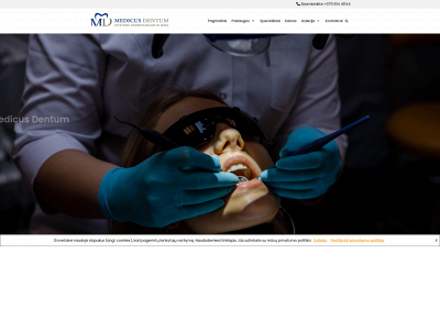 medicusdentum.lt snapshot
