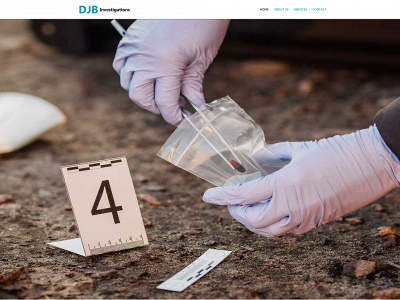 djbinvestigations.com snapshot