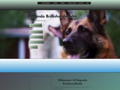 ragundabhk.com snapshot
