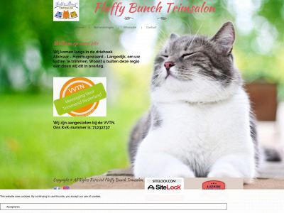 fluffybunch.nl snapshot