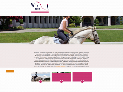 wildponyequestrianfitness.com snapshot