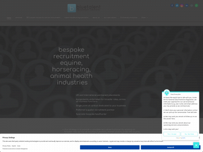bluetalent.co.uk snapshot