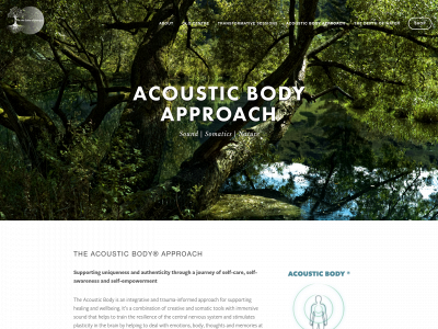 acousticbody.com snapshot