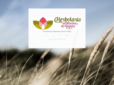 laalacenadebegonia.com snapshot