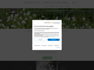 maplestreet.se snapshot