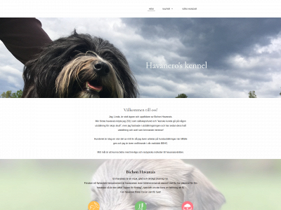 havaneros.se snapshot