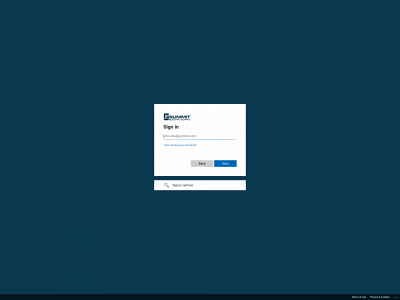 insummit.com snapshot