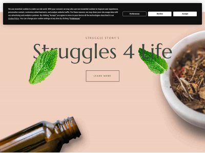 struggles4life.com snapshot