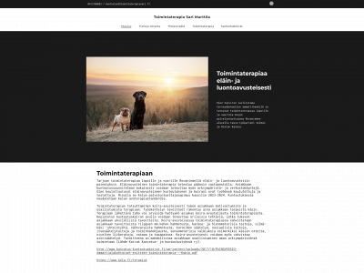 toimintaterapiasari.fi snapshot