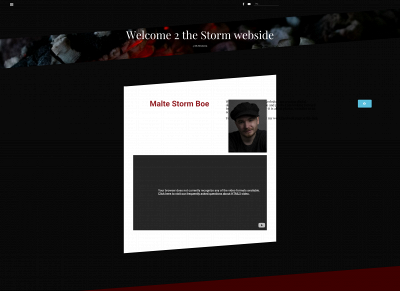 2thestorm.com snapshot