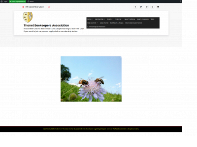 thanetbeekeepers.org.uk snapshot