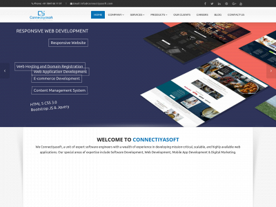 connectiyasoft.com snapshot