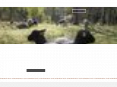sundsas.se snapshot