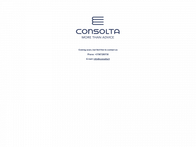 consolta.lt snapshot