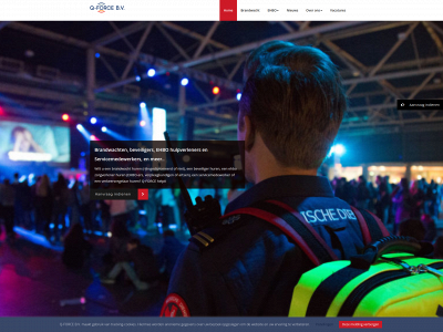 qforcebv.nl snapshot