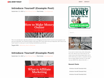 realmoneypursuit.com snapshot