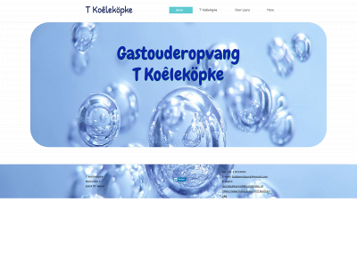tkoelekopke.nl snapshot