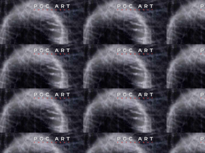 pgcart.dk snapshot
