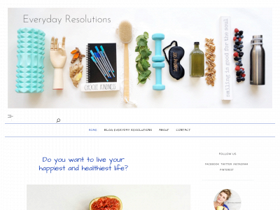 everydayresolutions.com snapshot