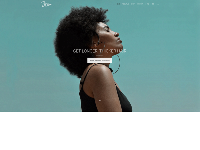 zolchehair.com snapshot