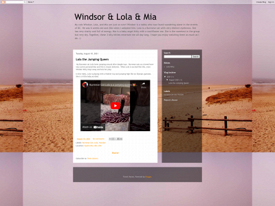 www.reveriewithme.com snapshot
