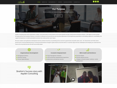 aaydenconsulting.com snapshot