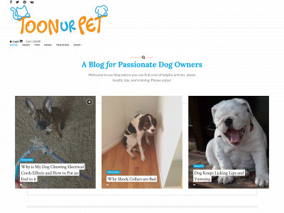 toonurpet.com snapshot