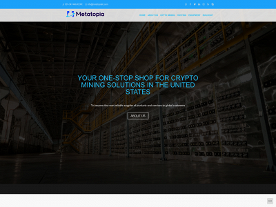 metatopiallc.com snapshot