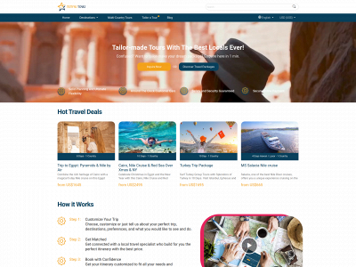 memphistours.com snapshot
