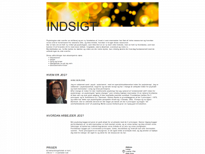 indsigt.one snapshot