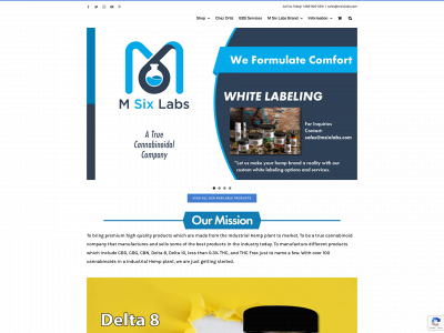 msixlabs.com snapshot