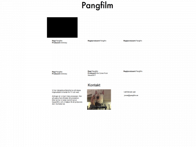 pangfilm.se snapshot