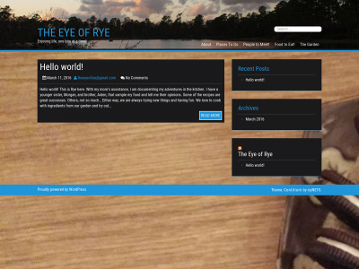 theeyeofrye.com snapshot