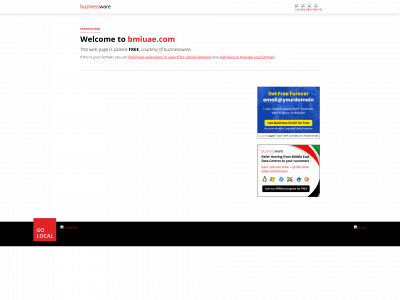 bmiuae.com snapshot