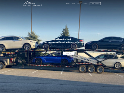 transportdramani.com snapshot
