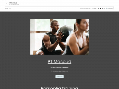pt-masoud.se snapshot