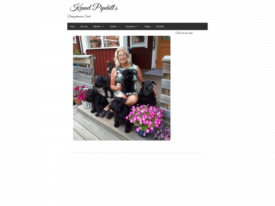 kennelpipehills.se snapshot