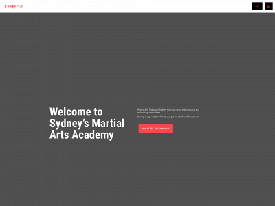 martialartsydney.com.au snapshot