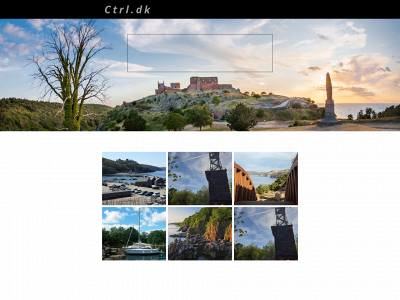 ctrl.dk snapshot
