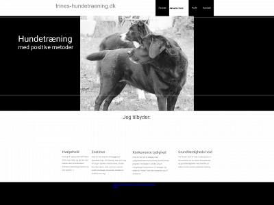 trines-hundetraening.dk snapshot