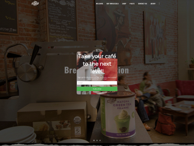 mocafeusa.com snapshot
