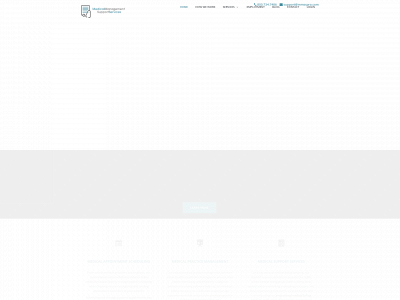 mmsupportservices.com snapshot