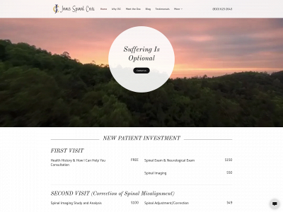 janesspinalcare.com snapshot