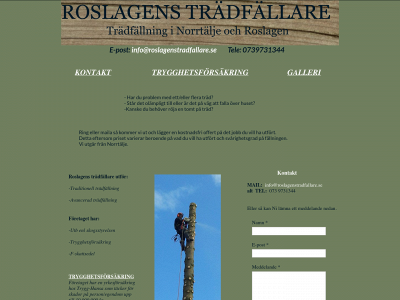 roslagenstradfallare.se snapshot