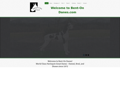 bent-ondanes.com snapshot