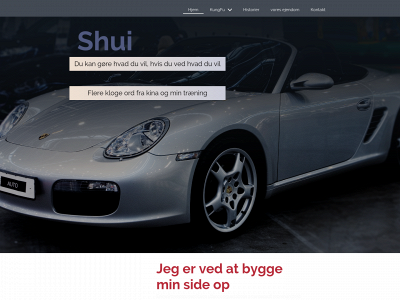 shui.dk snapshot