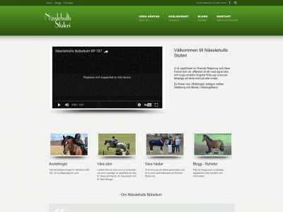 dagolina.com snapshot