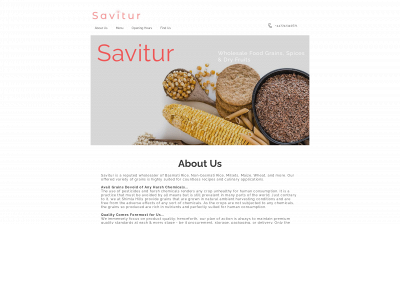 savitur.co.uk snapshot