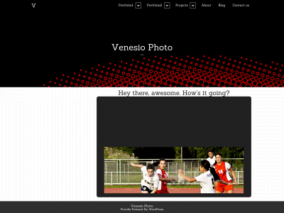 venesiophoto.com snapshot